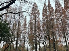 -扬州瘦西湖温泉