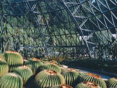 -深圳仙湖植物园