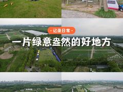 -嘉北郊野公园