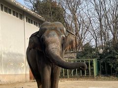-合肥野生动物园