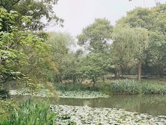 -西溪国家湿地公园