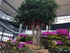 -南通洲际绿博园