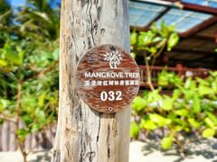 -三亚亚龙湾红树林度假酒店