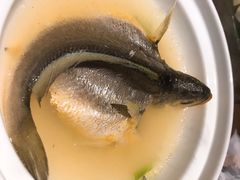 -新悦·霞浦海鲜生(上下杭店)