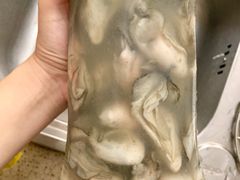 -鸿港海鲜批发市场