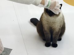 -天虹购物中心(深圳龙华店)
