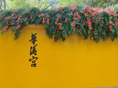 -华清宫景区