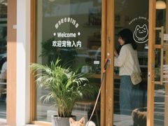 -申普宠物医院·心脏介入·心血管微创(总院)