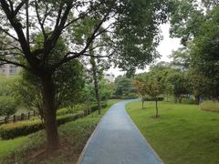 -双拥公园