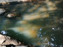 -国生茶庄·地道农家菜团建活动