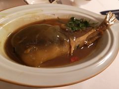 -肆月河豚·新淮扬(金融街店)
