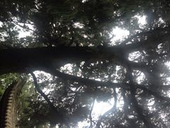 iphone_upload_pic-七曲山风景区
