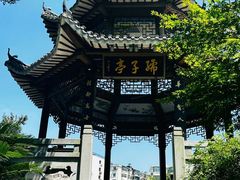 -孺子亭公园