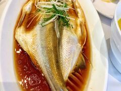 -同庆楼(滨湖万达广场店)