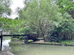 -同里国家湿地公园