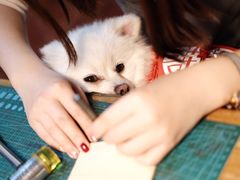 -零几体验diy皮具工作室(振业城店)