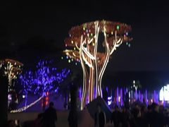 -欢乐海岸水秀剧场