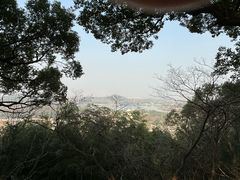 -上海佘山国家森林公园西佘山园