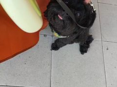 -酷狗靓猫宠物·洗护·美容·寄养(航北路店)