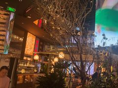 -桂满陇·海市蜃楼·黑金(国金店)