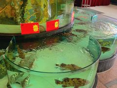 大堂-东豪园林海鲜酒家(南港路辅路店)