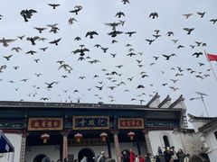 -九华山风景区