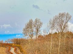 -长春世界雕塑园冰雪艺术天地