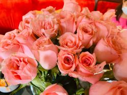 -花隐·美芙炫海菲秀皮肤管理中心