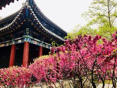 -碑林公园