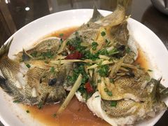 清蒸太阳鱼-贵缘酒家(桂苑社区南区冬宁坊店)