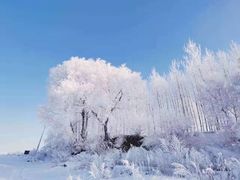 -雾凇岛