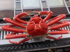 -蟹道乐(道顿堀本店)