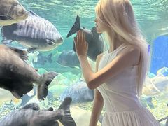 -成都浩海立方海洋公园