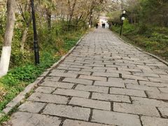 -高尔山公园
