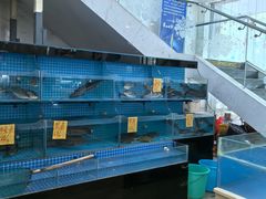 -鼎记酒楼(雁南一路店)