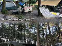 -重庆睡佛山森林公园