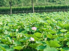 -临沂动植物园