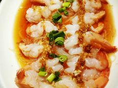 -前海沿·青岛菜(大拇指广场石老人店)