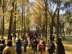 -延安杨家岭革命旧址