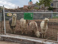 -清风小镇闯关东影视基地