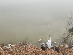 -艾溪湖湿地公园