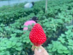 -海底捞火锅(万象城店)