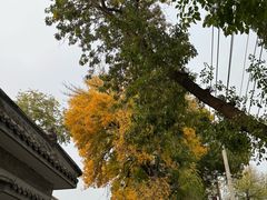 -嵩祝寺及智珠寺