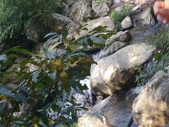 -藏龙百瀑风景区