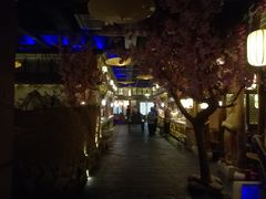 -淀里船宴(裕华东路店)