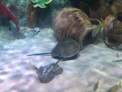 -沈阳海洋探索中心