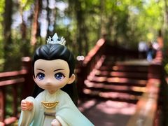 -汤旺河林海奇石景区