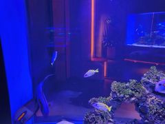 -上和臻品中国菜(花园街店)