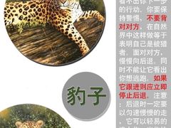 -上海野生动物园