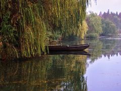 -溱湖国家湿地公园